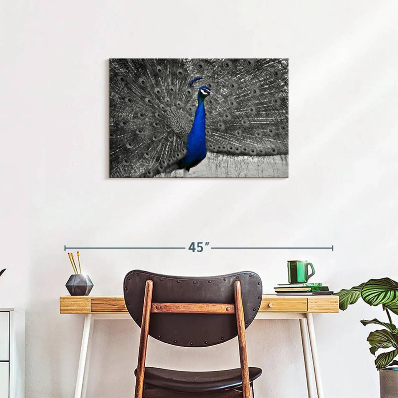 Brampt Peacock Pop, 20" H x 30" W