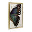 Toile d'aile de papillon classique par Melissa Wang-18274519-32420869