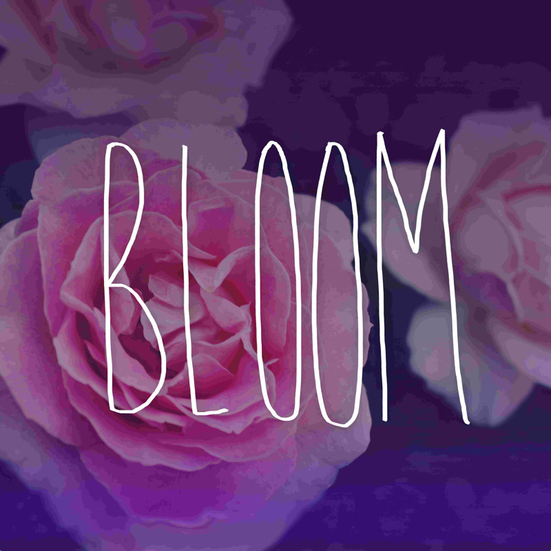 Bloom 5, impression sur toile tendue, H 12 po x l 12 po, Non, Toile tendue