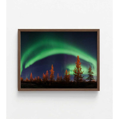Northern Lights, art mural, Aurora Borealis Forest Landscape (tailles multiples)