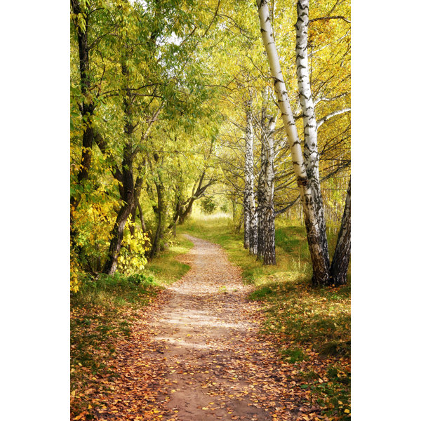 Union Rustic Beautiful Fall Forest by Geschaft - Wrapped Canvas Print ...