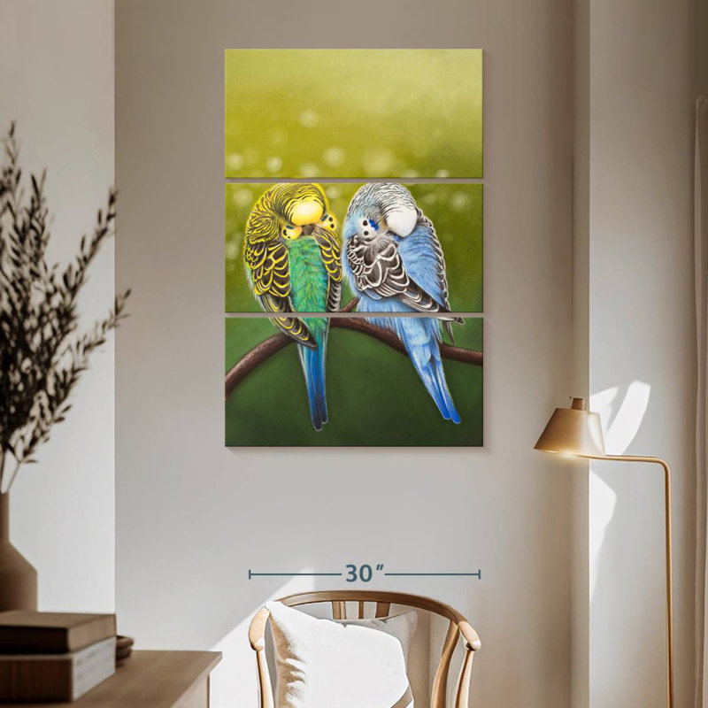 Brampt Budgie Siesta, H 65 po x l 42 po