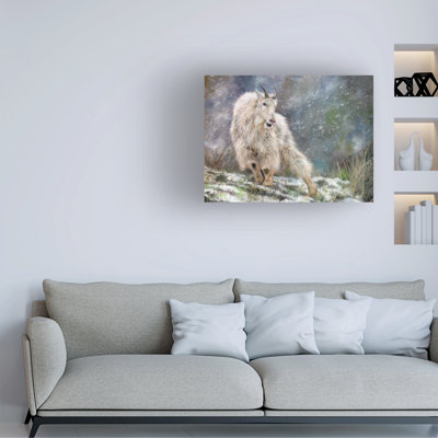 Art sur toile David Stribble