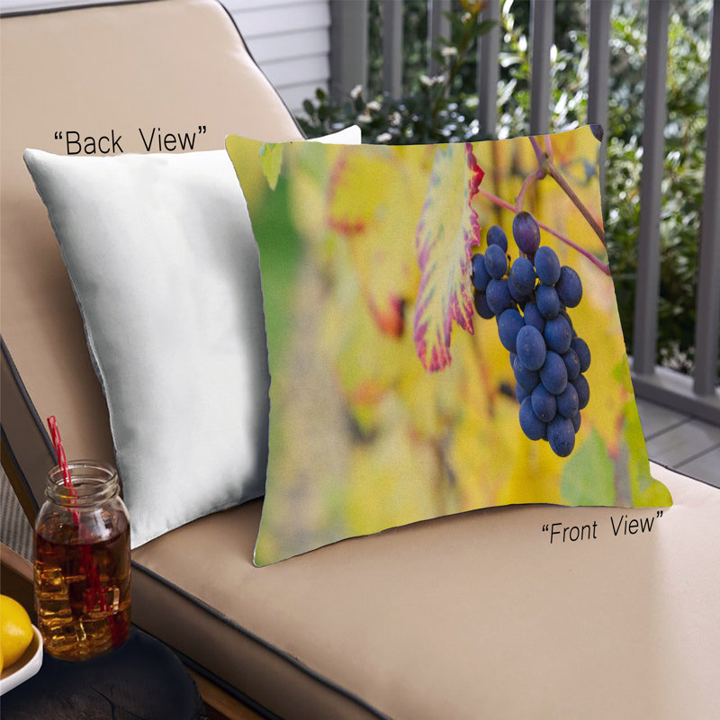 Coussin Foods Fruits, Synthétique