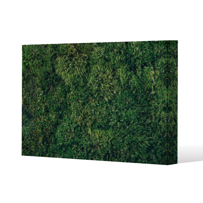 No Title by Andrew Lee - Wrapped Canvas Print, 51cm H x 77cm W x 4cm D