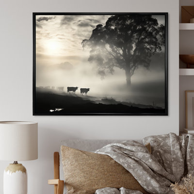 " Cattle Misty Morning Grazing II "