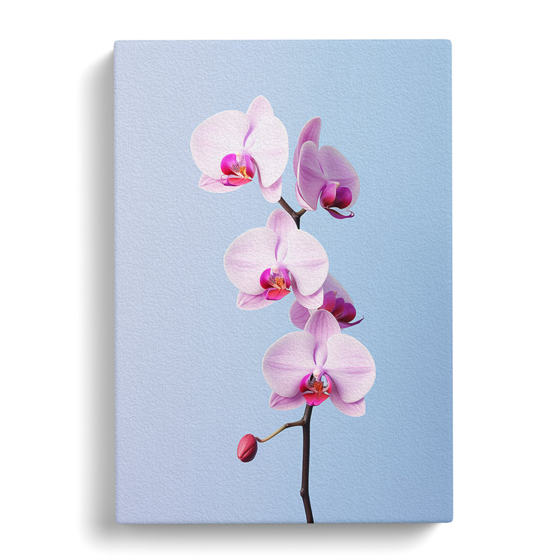 Orchid Flower Minimalism - Wrapped Canvas, 50cm H x 35cm W x 3cm D