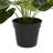 19.05'' Faux Lime Plant in Metal Pot