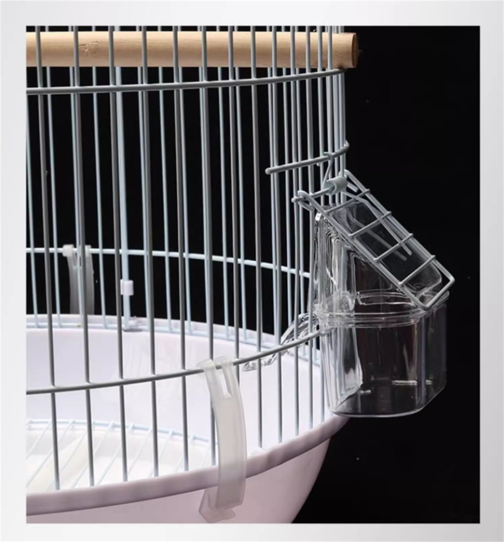 English Round Bar Aviary For Pet Store