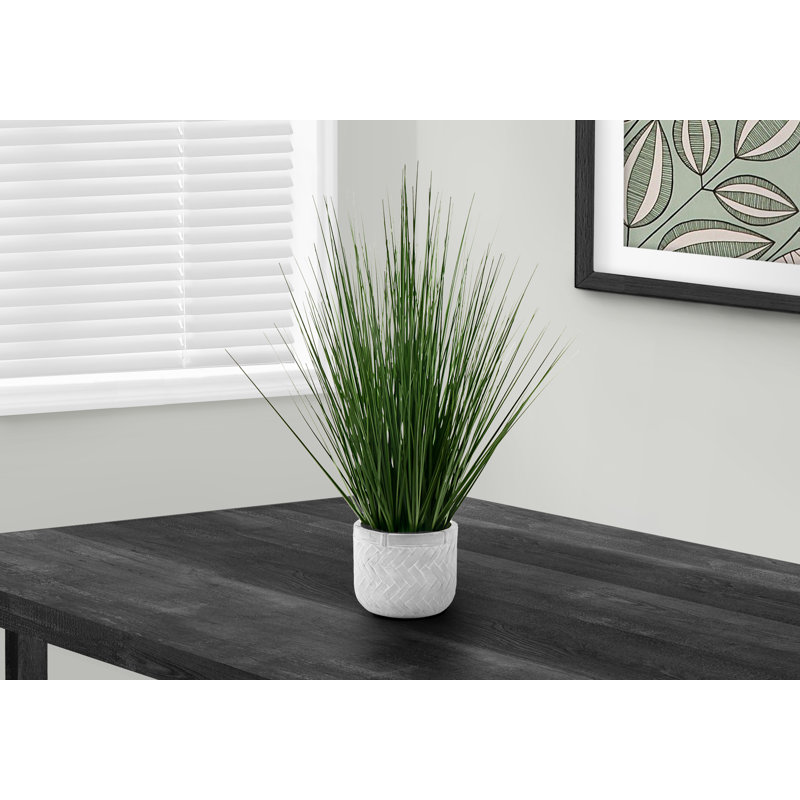 Plante Mcfadden en fausse herbe en pot de ciment
