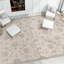 Geometric Indoor Rug