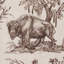 Western Toile Fabric-1459262884
