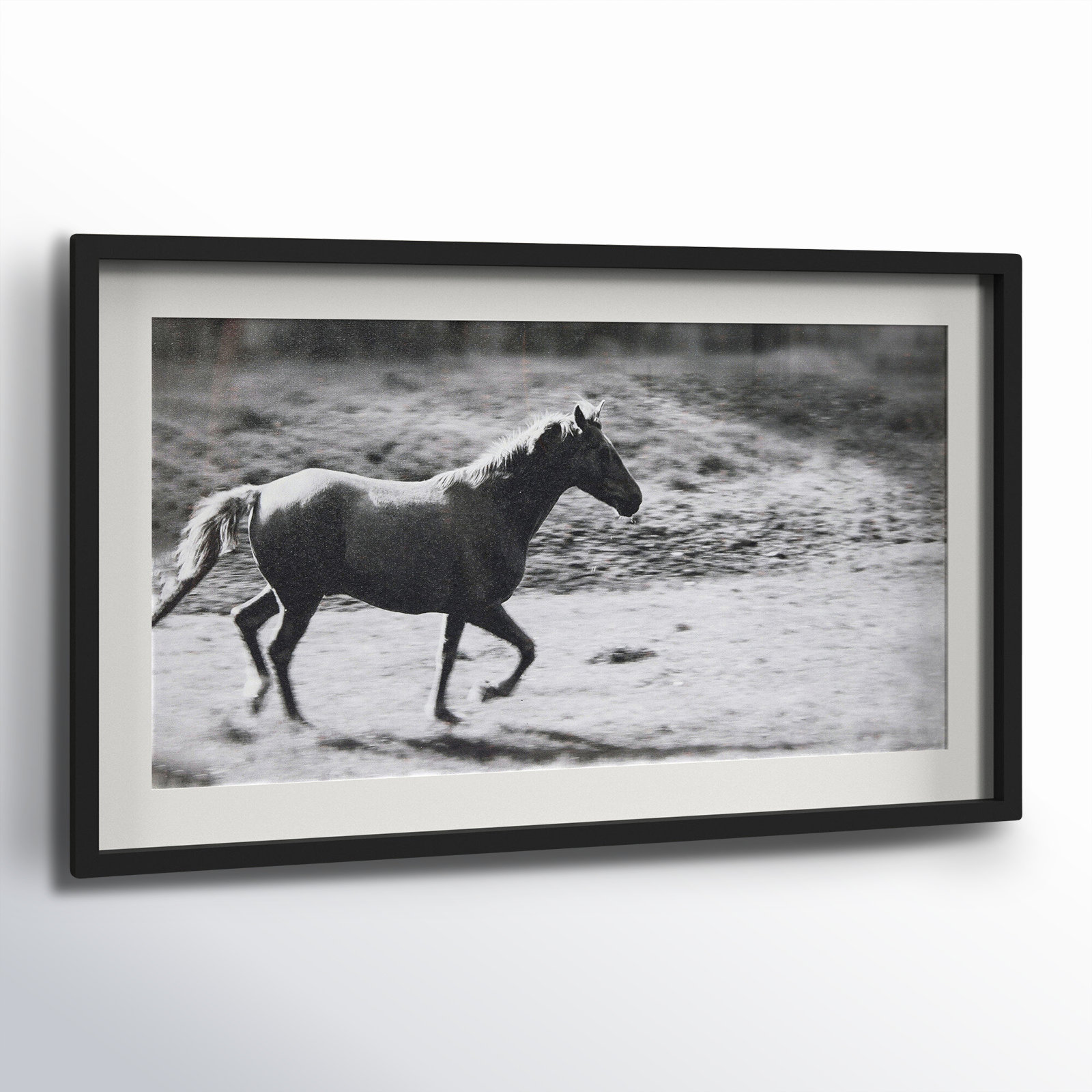 Galloping Horse Canvas Print