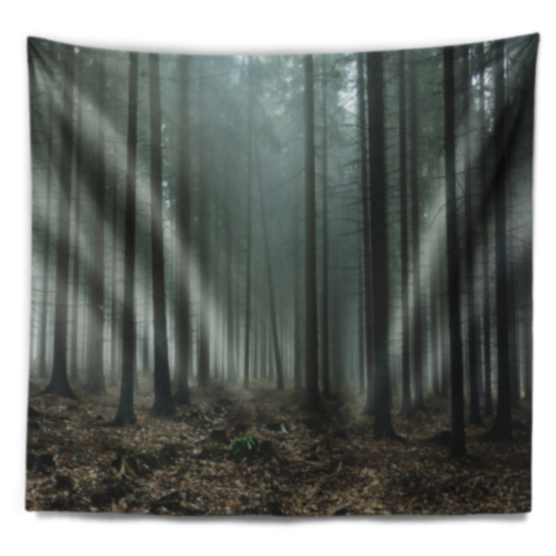 Paysage sombre soleil levant dans une tapisserie forêt foncée, H 68 po x l 80 po