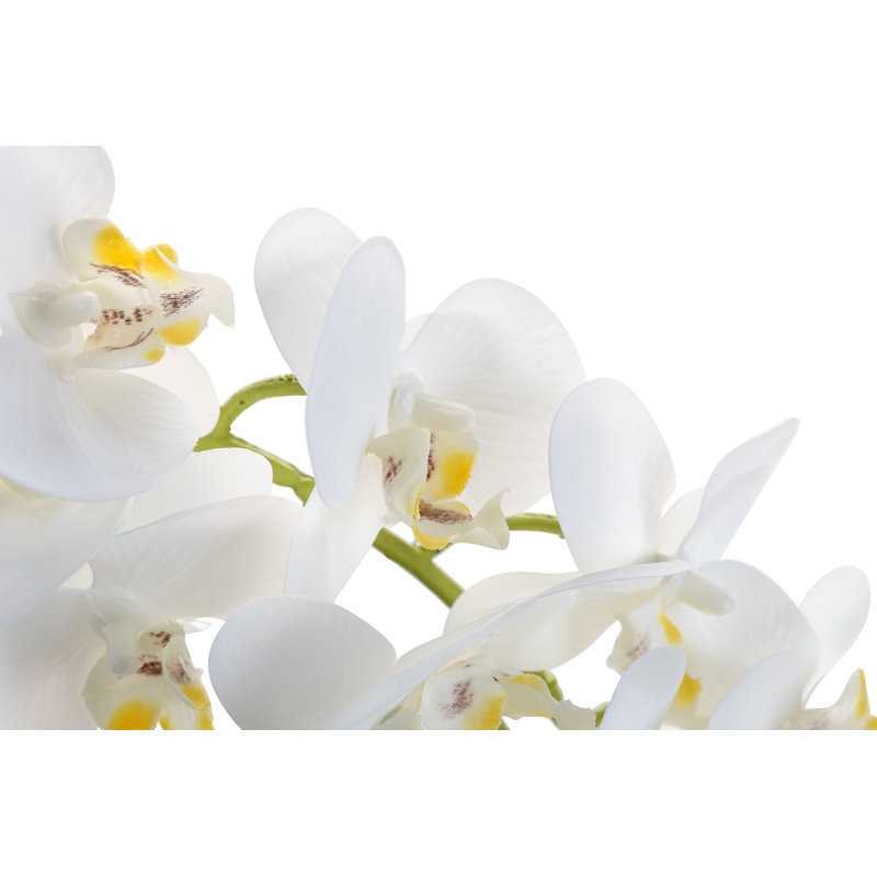 Wesley Realtouch Orchid in Cement Planter