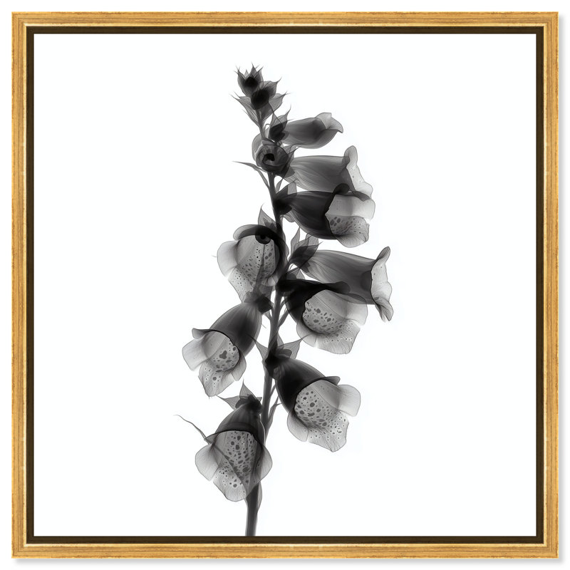 Ossified Petals II Print by Oliver Gal, 13"H x 13"W, Gold Floater Frame