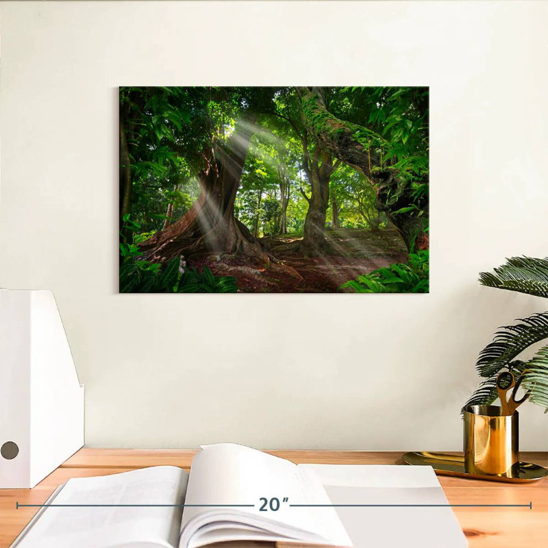 Forêt tropicale ensoleillée Alvord, H 8 po x l 12 po