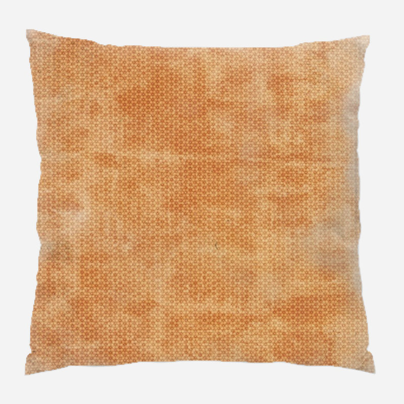 Coussin décoratif à motif, Intérieur