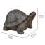 Statue turtle