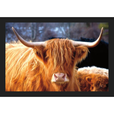 Imprimé Highland Cow Sunshine
