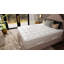 1893 Afternoonified Medium Pillow Top Innerspring Mattress-345523975