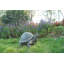 Statue turtle