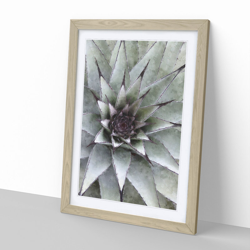 The Succulent Plant - Picture Frame Painting, 48cm H x 36cm W x 2cm D, Oak Framed