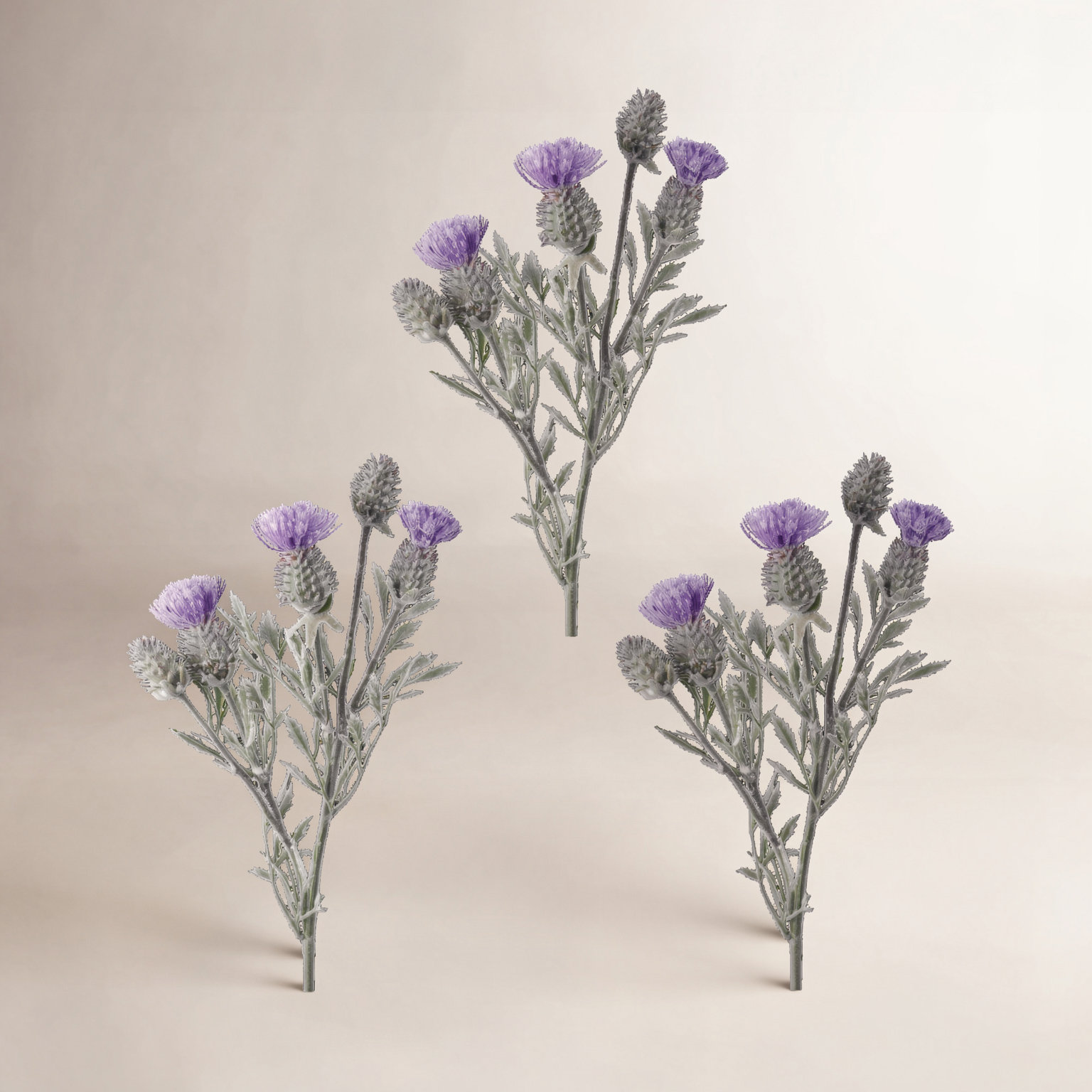 Irish Thistle Stems