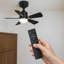 Ceiling Fan with LED Lights-1283458083