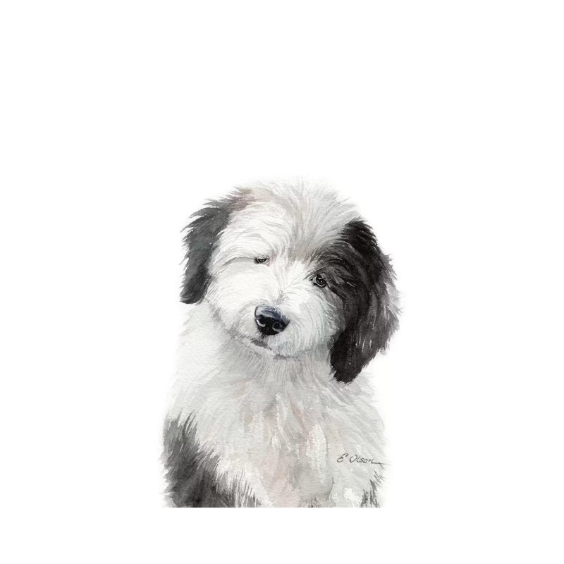 Old English Sheepdog Puppy - Wrapped Canvas Print, 20.32 cm H x 30.48 cm W
