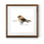 Mixed signaux I-reproduction de peinture encadrée sur papier-149679628-149679630