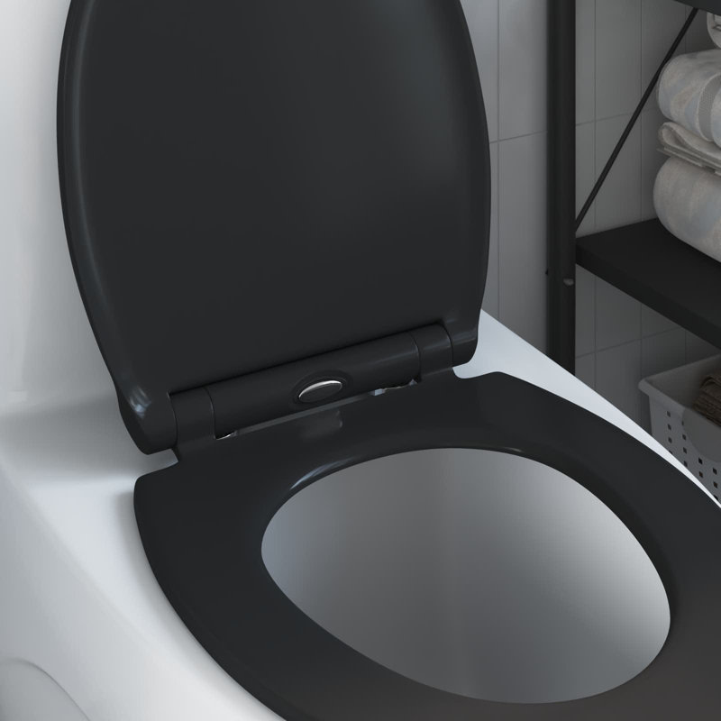 Anthracite Plastic Standard Adjustable Armrests Toilet Seat, Black