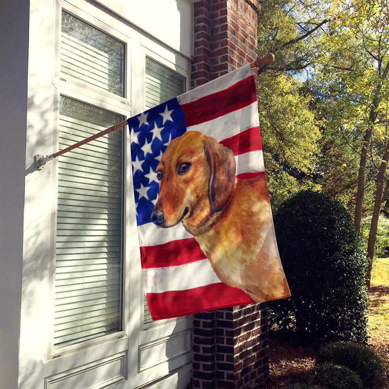 Drapeau de maison en polyester à 2 côtés Shahnur, Teckel brun