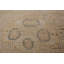 Tapis rectangulaire en coton One-of-a-Kind