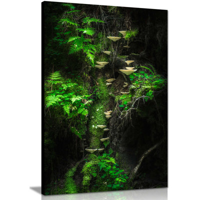 Ferns & Tree Mushrooms - Wrapped Canvas Print