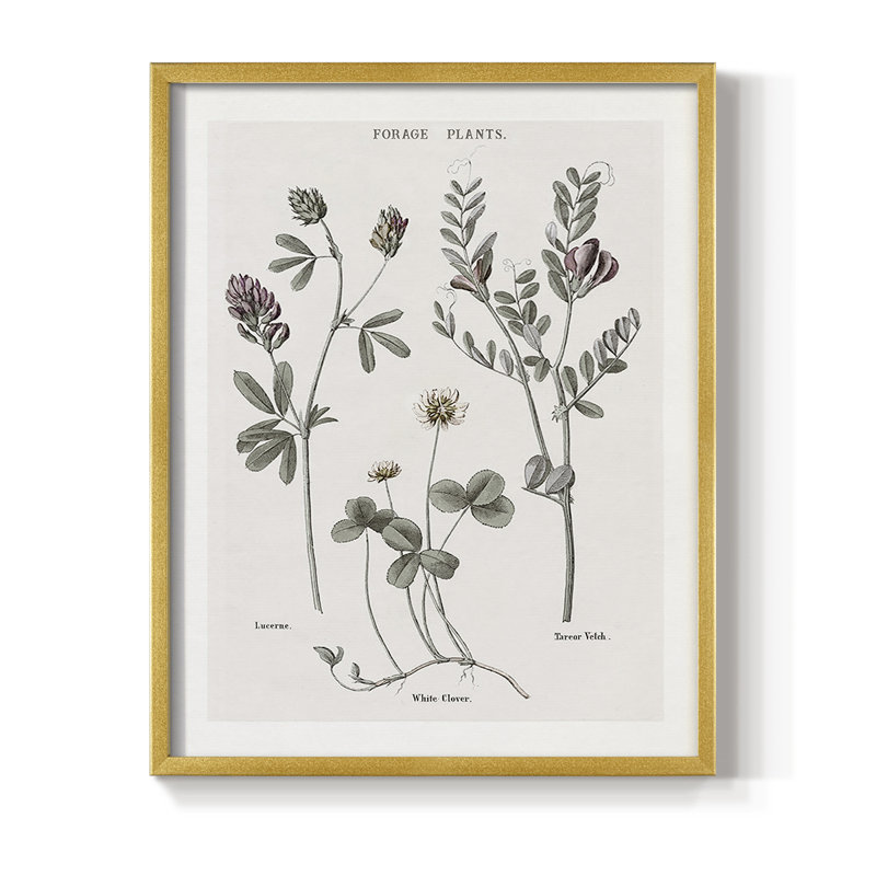 Multi Botanical I, reproduction encadrée - bois massif, Or, H 10 po x l 8 po