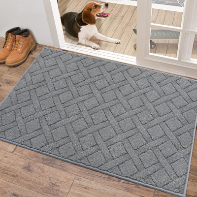 Non-Slip Indoor Doormat