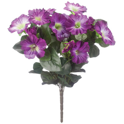 OakRidge Petunia Bush