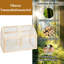 Walburg 3 Ft W x 2 Ft D Mini Greenhouse