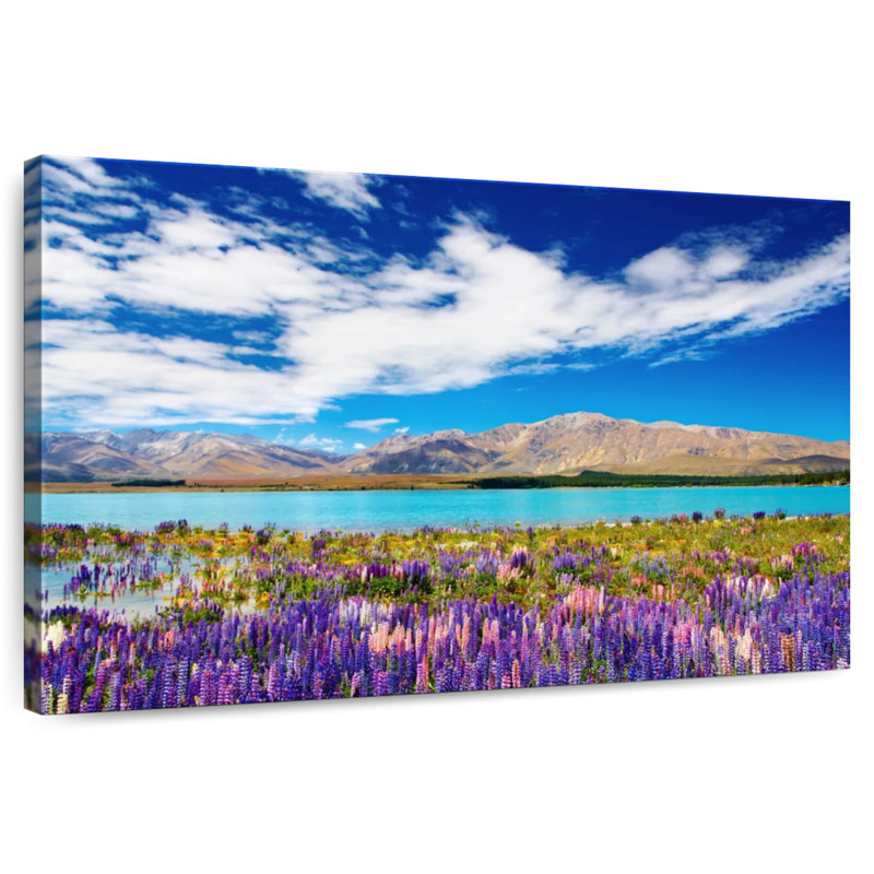Alvord floral, lac de Nouvelle-Zélande, H 8 po x l 12 po