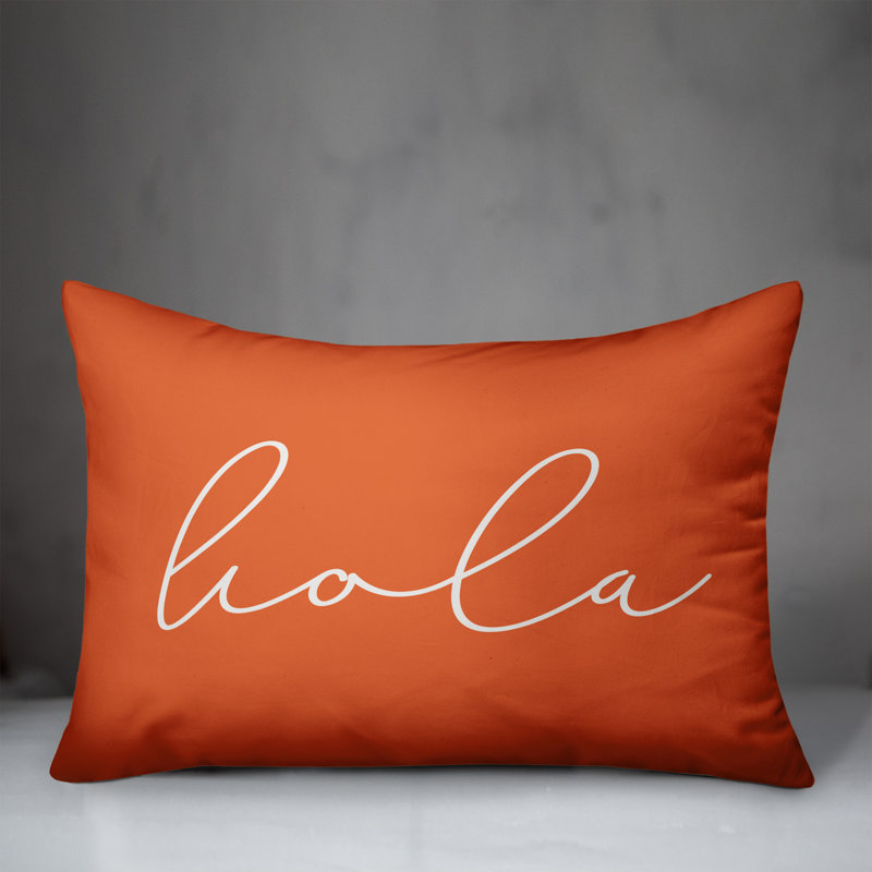  Hola Thin Indoor/Outdoor Pillow Cover & Insert, Orange