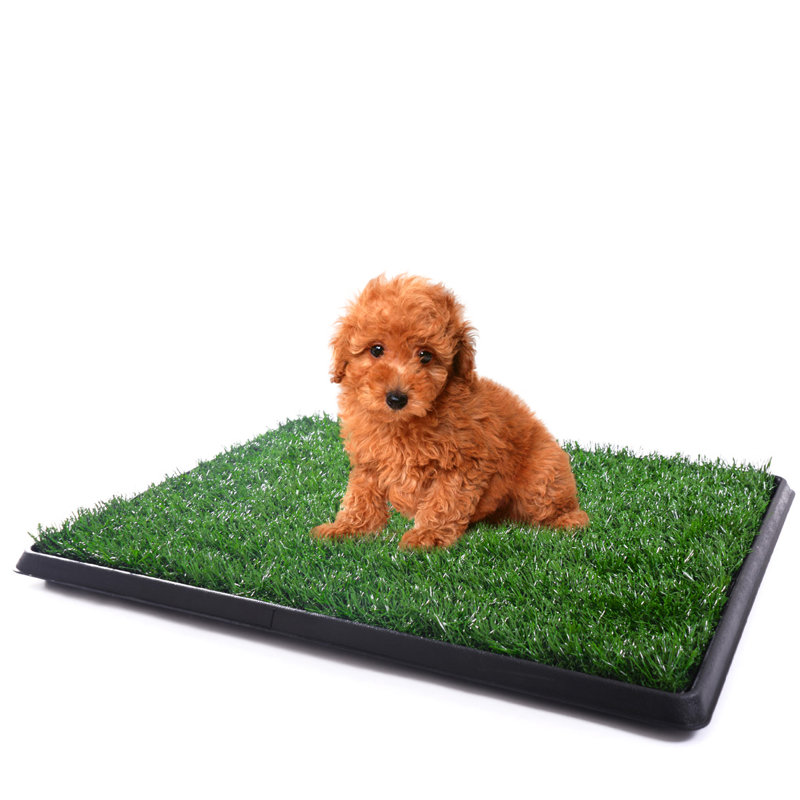 Pet Bed