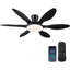 Ventilateur de plafond 51 "avec lumière-2010866820-2009246584-2009246865