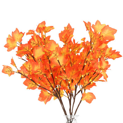 Maple Arrangement
