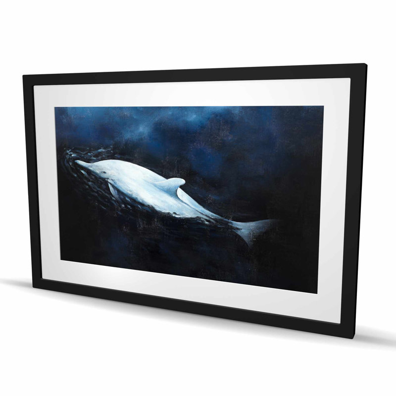 Dauphin nageur - animaux bleus