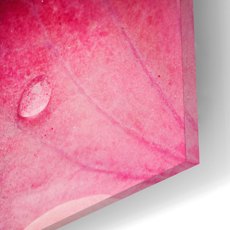 «Pink Flowers 3» par Photoinc Studio, art mural en verre acrylique, H 12 po x l 12 po x P 0,13 po