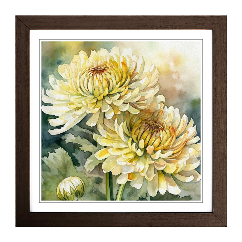 Chrysanthemum Watercolour No.2 - Framed Print, Walnut