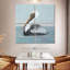 Bramican Pelican Wash IV-109125209
