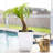 Nadija Pot Planter-14002345