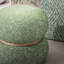 Speckle-1145688537